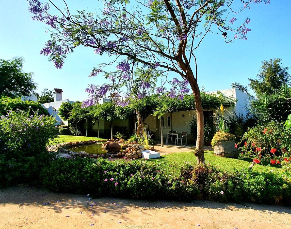 مبيت وإفطار فيلامورا Casa Do Alto المظهر الخارجي الصورة